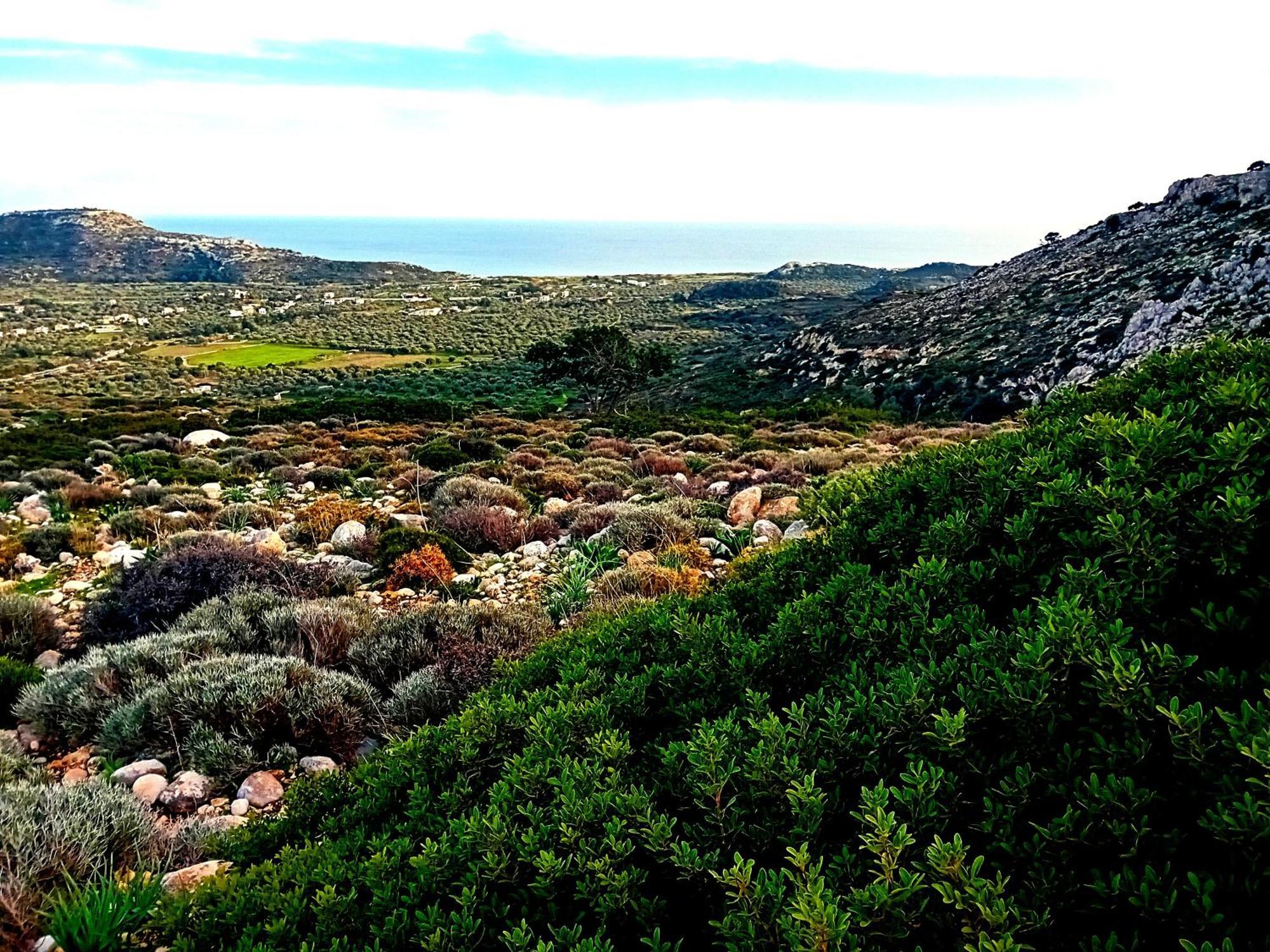 פליראקי Lucidum Villa Rhodes מראה חיצוני תמונה